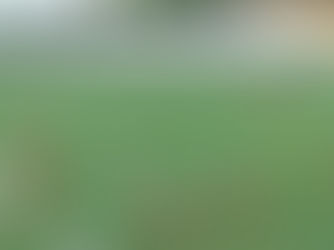 Em jogo de quatro gols, Mixto e União empatam em duelo intenso na Série D