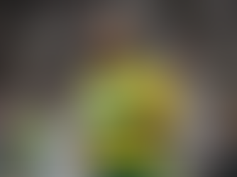 Foto: Alessandra Torres/AGIF