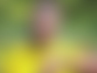 Torcedor do Mixto é indiciado por racismo e injúria contra árbitro