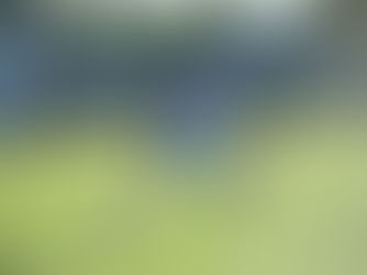 Cuiabá e Dom Bosco fazem a finalíssima do Mato-grossense Sub-20