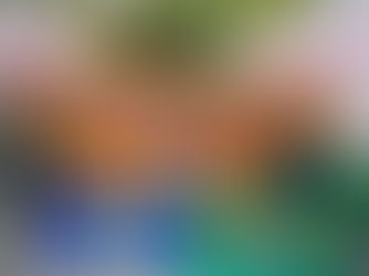 Flor Ribeirinha é tetracampeã mundial na Coreia do Sul