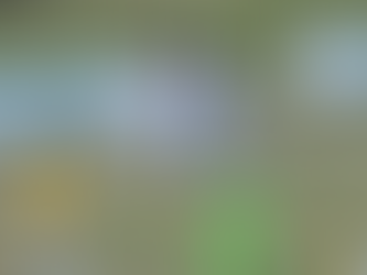 Foto: Reprodução/União EC 1973