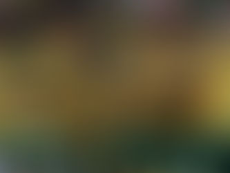 CBF anuncia retorno do Brasileirão e Cuiabá recebe Internacional em junho