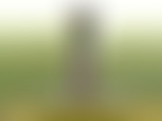 CBF divulga grupos da Série D 2026; cinco clubes de Mato Grosso estão na disputa