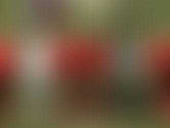 Luverdense é derrotado pelo Capital fora de casa e perde chance de assumir a liderança