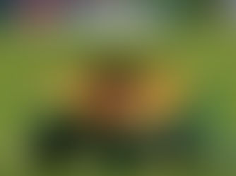 Foto: AssCom Dourado