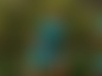 “Poderia ter acabado diferente”, enfatiza empresário de Deyverson