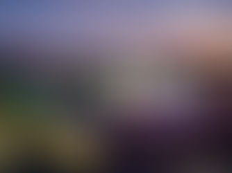 Arena Pantanal recebe 366 visitantes em dois meses com projeto de Visita Guiada