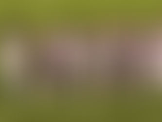 União empata sem gols com o Capital-TO no Luthero Lopes