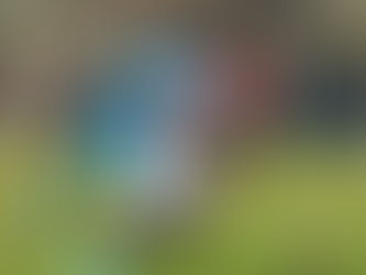 Araguaia e Sorriso goleiam na quarta rodada do Mato-grossense Sub-17; veja resultados