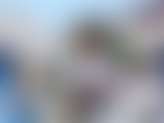 Mixto estreia com empate na Série D do Brasileiro