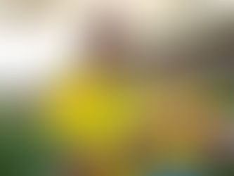 Com a mato-grossense Ana Vitória na lista, Seleção Brasileira Feminina é convocada para amistosos