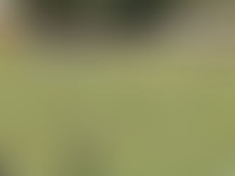 Cuiabá perde para Ponte Preta na estreia da Copa São Paulo Júnior