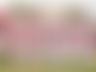 Após duas goleadas, Paulistano desiste da 2ª Divisão do Mato-grossense