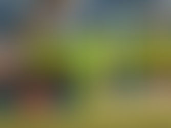 Walter destaca cobrança diária e dificuldade de pontuar no Brasileirão