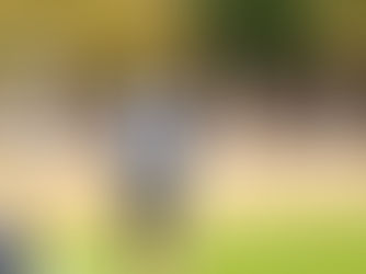 Primavera anuncia desligamento de técnico após sofrer goleada na Copa FMF