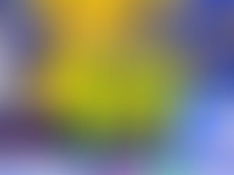 Foto: Divulgação/ASF Sorriso