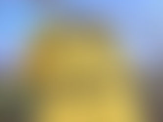 Nova Mutum lança programa de sócio-torcedor