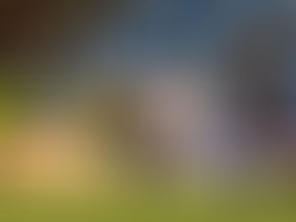 Cuiabá sofre gol nos acréscimos e apenas empata com o Criciúma na Arena Pantanal