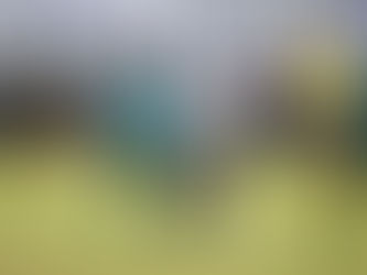 Foto: Jonathan Domingos