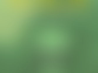 Com ingressos a partir de R$ 5, evento com shows de artistas independentes ocorre no Beco do Papa