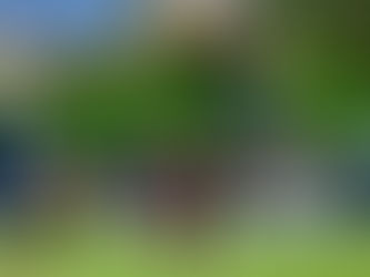 Taça das Favelas Mato Grosso começa neste sábado (28)