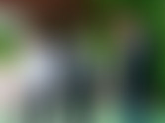 Ministro Conselheiro da Embaixada da Índia avalia local que será construída estátua de Mahatma Gandhi em Cuiabá