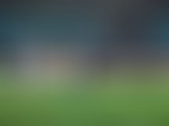 Mato-grossense Rafael Tolói é campeão da Liga Europa com Atalanta