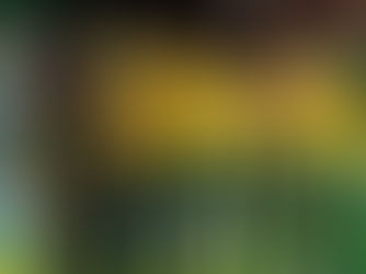 Foto: AssCom Dourado