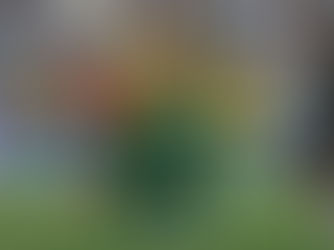 Atacante do Cuiabá, Pitta é terceiro maior artilheiro do Brasil em 2024