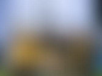 Após duas derrotas no Mato-grossense, Sport Sinop contrata três reforços