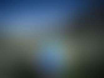 Times com mais chances de rebaixamento no Brasileirão 2024