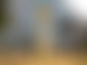 Foto: Lucas Figueiredo/CBF