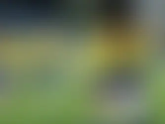 Foto: Buda Mendes/FIFA/Getty Images