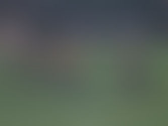 Sport Sinop elimina Poconé/Chapada e conquista acesso na 2ª divisão do Mato-grossense