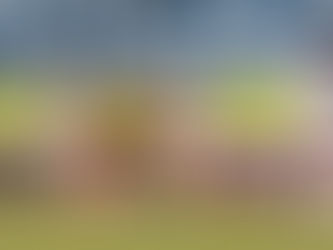 Cuiabá sai na frente, sofre o empate contra o Botafogo-SP e segue sem vencer em casa na Série B