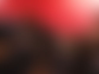 Secel realiza reunião para debater aplicação dos recursos da Política Nacional Aldir Blanc