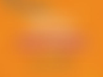 Museu de História Natural participa da 17ª Primavera dos Museus; confira programação