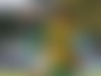 Cuiabá fecha janela com oito reforços; Arthur Rezende já deixou o clube