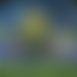 Cruzeiro abre conversas com o Cuiabá para contratar Mateusinho