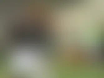 Foto: Lucas Merçon / Fluminense FC