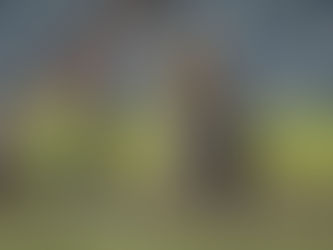 Cuiabá perde para Botafogo nos pênaltis e está eliminado do Brasileiro Sub-17