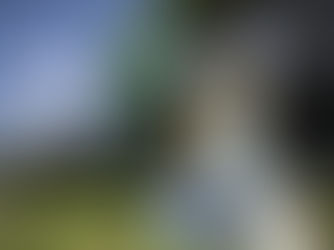 CBF divulga tabela da 10ª a 15ª rodada do Brasileirão; Cuiabá fará três jogos na Arena Pantanal