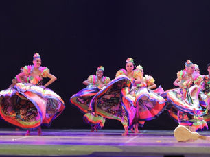 Flor de Atalaia é vice-campeã no Festival de Dança de Joinville