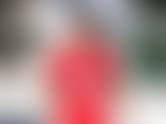 Após saída do técnico Luciano Dias, dois atacantes deixam o União