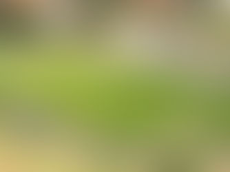 Primavera descarta jogar a estreia do Mato-grossense no Cerradão por obras no estádio