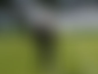 Foto: AssCom Dourado