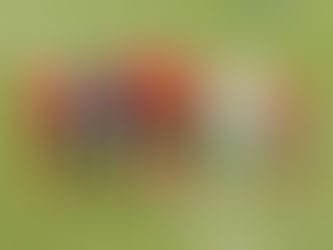 Luverdense é goleado pela Aparecidense fora de casa em duelo de líderes