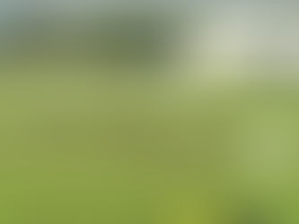 Nova Mutum vence Academia em estreia do Campeonato Mato-grossense