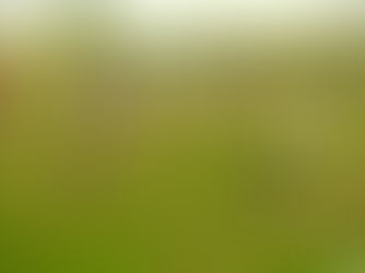 Mixto vence o Porto Velho com autoridade fora de casa e enfrenta a Portuguesa-SP na próxima fase